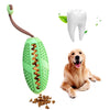 INTERACTIVE DOG TOOTHBRUSH CHEWING TOY